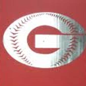 Felion Good Baseball emblem